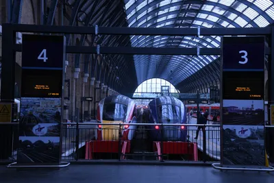 DSC_1585 (Large).JPG